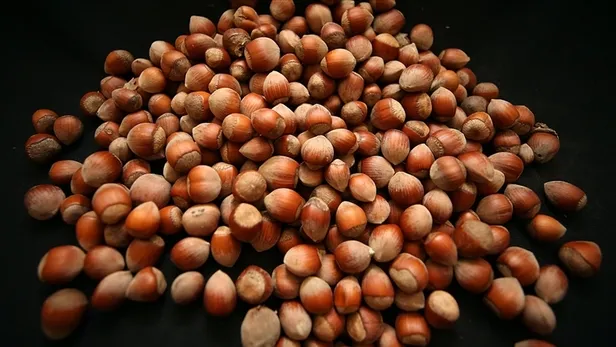 findik-fiyatlari-2025-1-kilo-findik-ne-kadar-kac-tl-olacak-giresun-levant-ve-sivri-kalite-findik-alim-ucreti-1754380523958.jpg A Haber Foto Arşiv