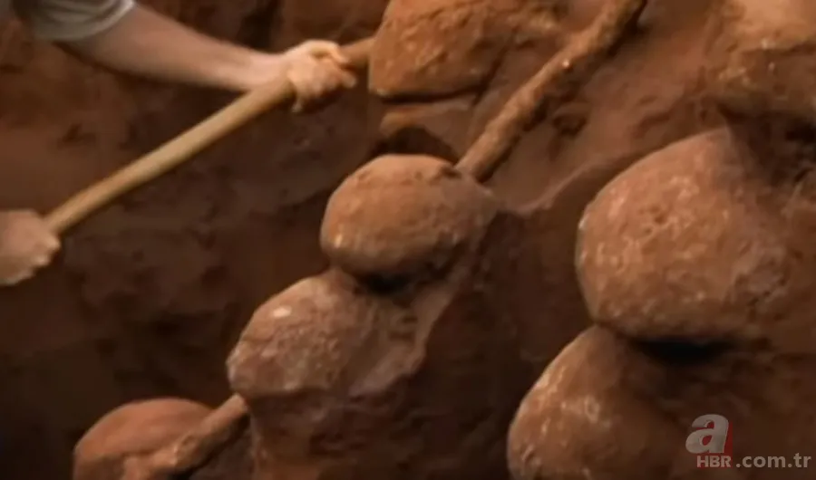 Karınca yuvasından sanat eseri çıktı 🐜 Vahşi doğanın usta mimarları! Otoban, yan yol ve patika bile yapmışlar 24