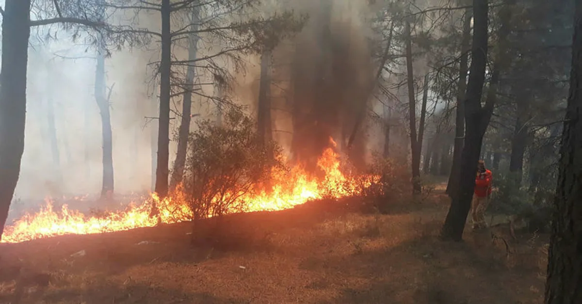 İstanbul Kartal Aydos Ormanı'nda yangın çıktı