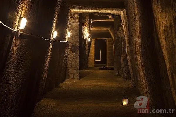 Yürüyüşe çıktı hayatı değişti! Değeri dudak uçuklattı 13