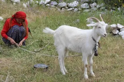 Bir dönemin yıldızları şimdi ne yapıyor?