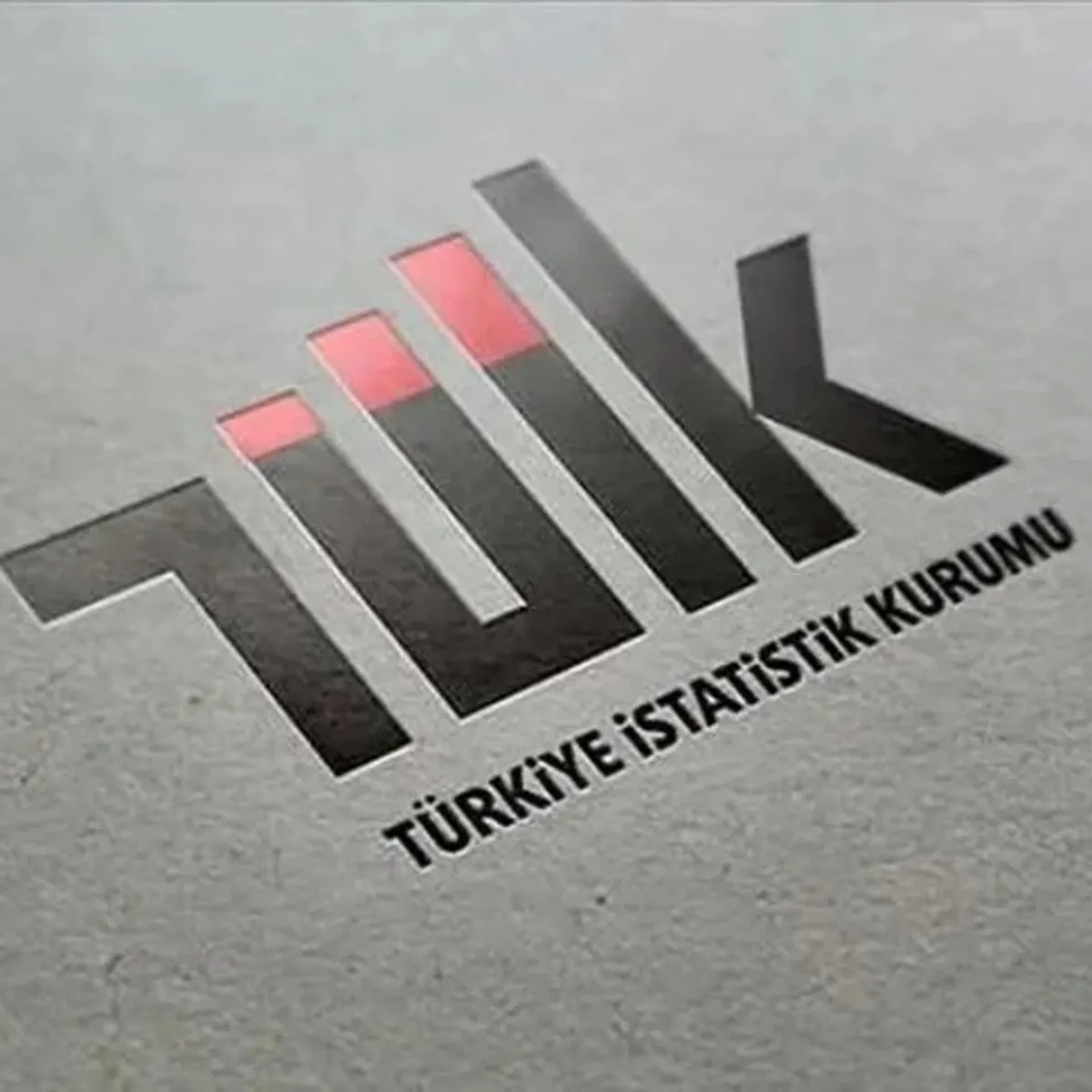 TÜİK’te kritik atama! Yeni başkan yardımcısı belli oldu