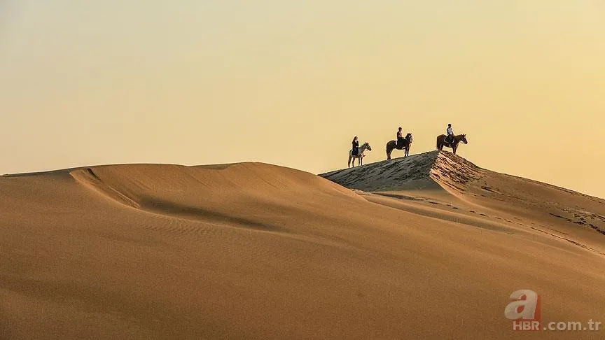 Ebu Cehil Kimdir? Nasıl bir hayat yaşamıştır? Ne zaman, nasıl öldü? Peygamber Efendimizin "Ebu Cehil'in hurma ağacı" sözü ne demek? 6
