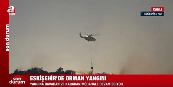 Eskişehir’de orman yangını kontrol altına alındı