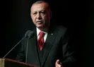 Başkan Erdoğandan Van kedili tbt paylaşımı