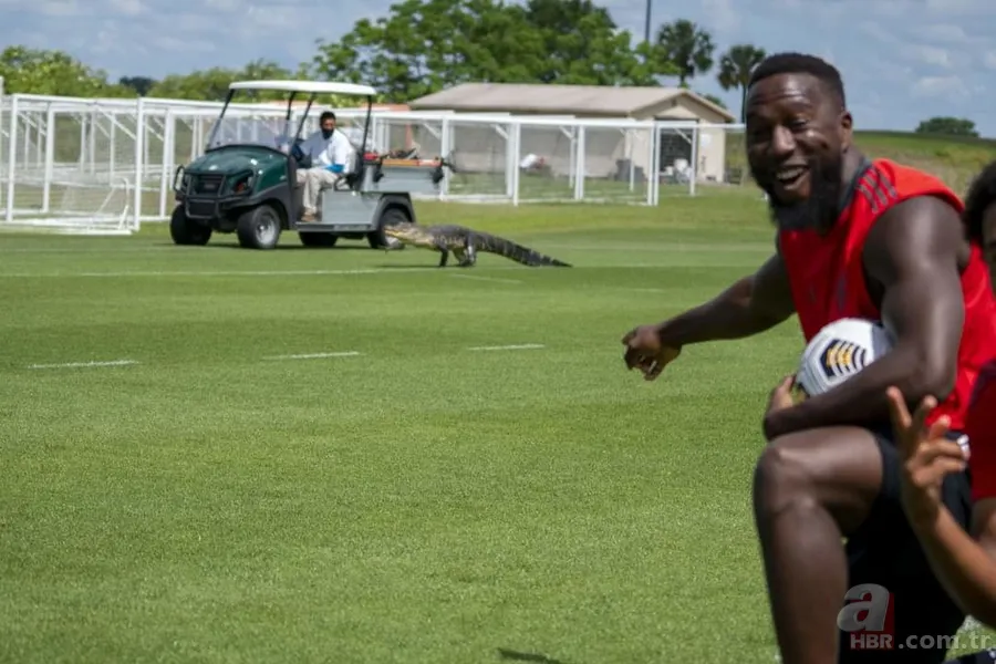 Sürücülerin kabusu oldu! Geceleri ortaya çıkıp yola fırlıyor 23