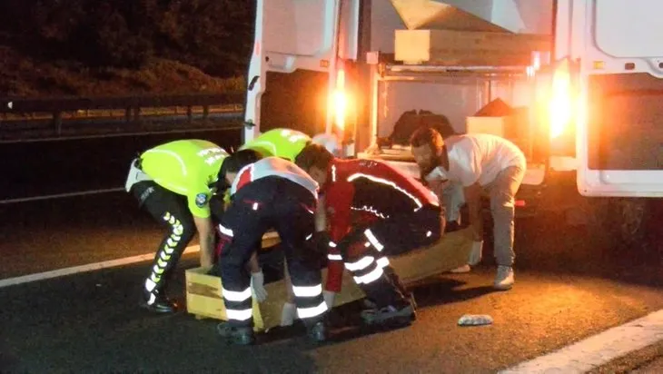 TEM’de feci kaza! 2 kişi hayatını kaybetti