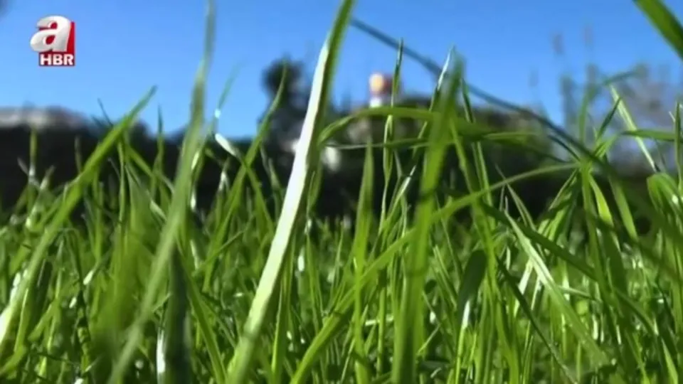 Şehre Yakın ekibi Kırıklı Mahallesi’nde