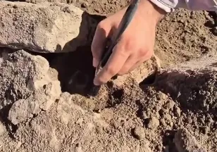 Kütahya'da 4 bin yıllık keşif! Tunç Çağı'ndan kalan köpek pati izleri ortaya çıktı