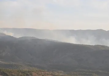 Şırnak'ta 10 terörist etkisiz hale getirildi