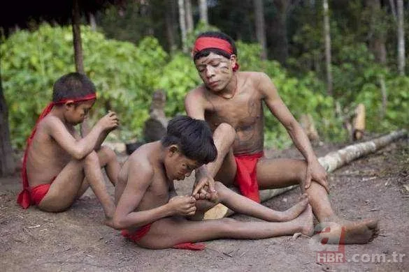 26 yıl kimseyle konuşmayan Çukur Adam öldü! Dış dünyayla teması olmayan kabilenin son üyesiydi 22