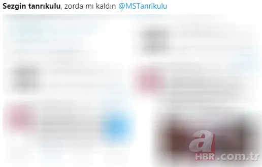 Sezgin Tanrıkulu porno videosunu beğendi! Sosyal medya yıkıldı... 5