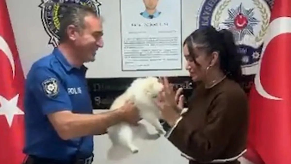 Hırsız girdiği evden köpek çaldı! Kayseri'de bir garip olay