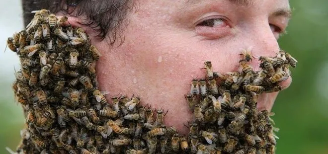 Tekirdağ’da arılar taarruza geçti! 1 kişi öldü 4 kişi yaralandı