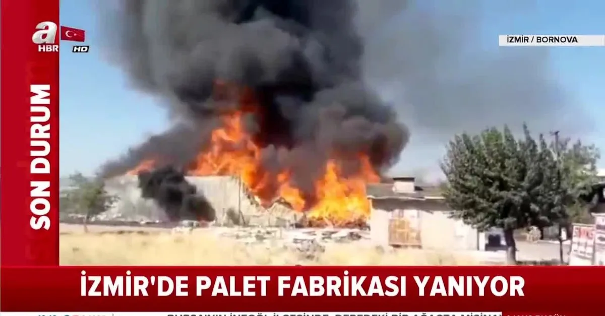 Son Dakika Izmir De Palet Fabrikasinda Yangin Olay Yerinden Ilk Goruntuler Video Izle Flas Haber Ahaber Video Izle