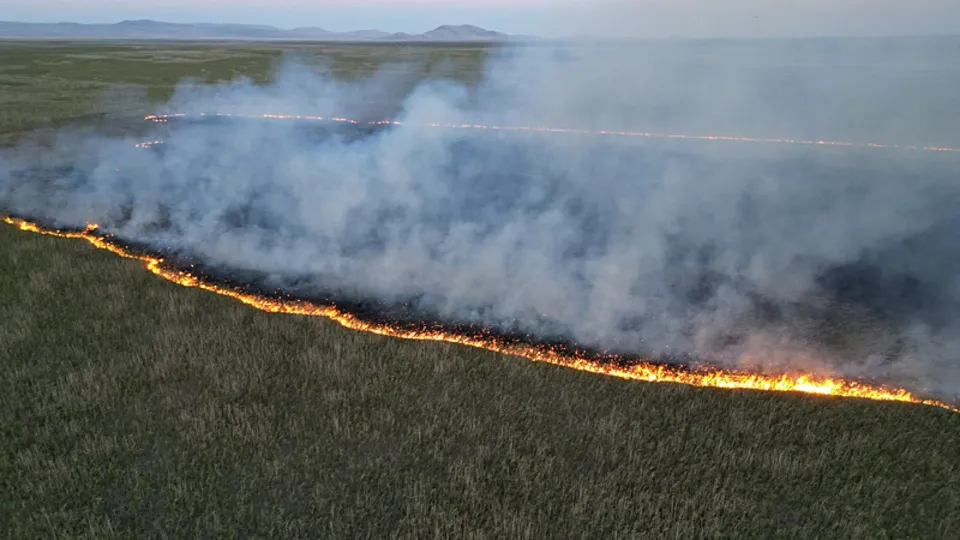 Eber Gölü’nde yangın: 9 dönüm alan zarar gördü