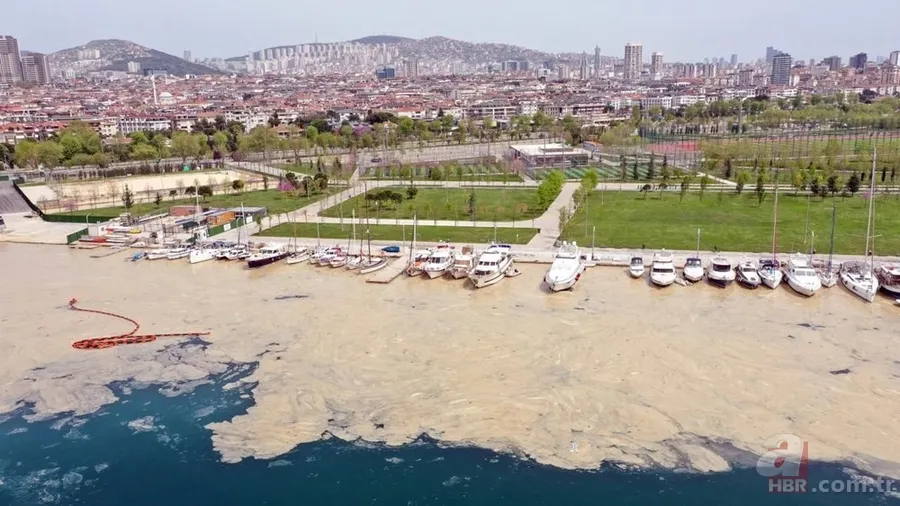 Deniz salyası ABD basınında: Marmara ölüyor! Çevre profesöründen kritik uyarı geldi 6