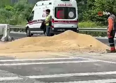 25 ton tavuk yemi D-650’ye savruldu