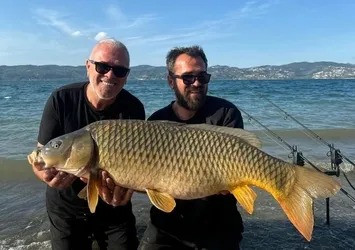 Sapanca Gölü’nde 18 kiloluk dev sazan