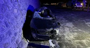 Yola çıkan ata otomobil çarptı! Ölü ve yaralılar var