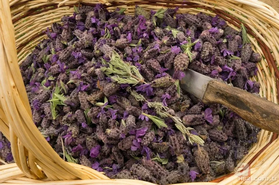 Ter kokusuna kökten çözüm! Evden çıkmadan sürün ve... 9