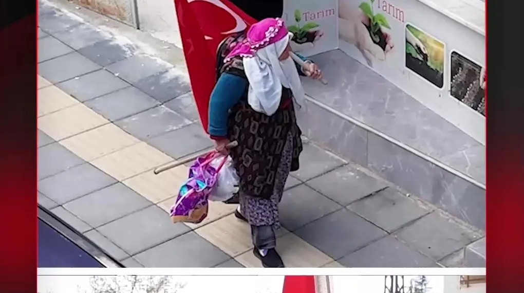 KOCA ÇINARIN BAYRAK SEVGİSİ