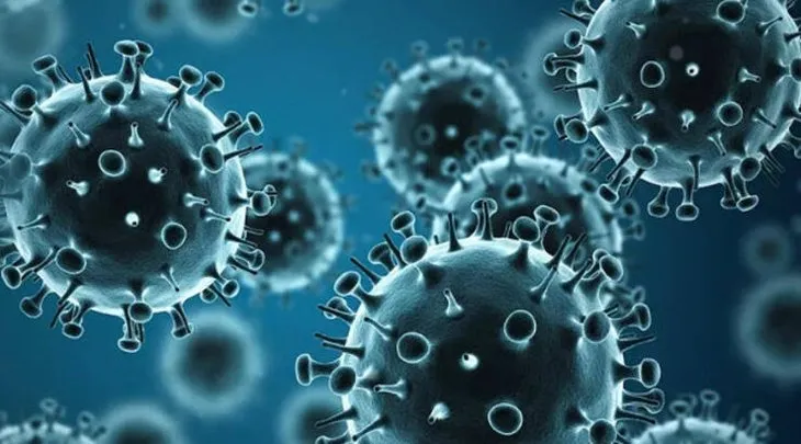 İnfluenza A mı İnfluenza B mi daha tehlikeli? İnfluenza B ölümcül mü? İnfluenza belirtileri neler?