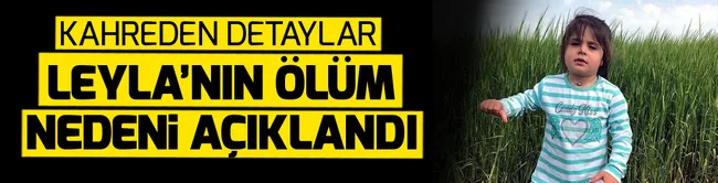 Leyla cinayetinde flaş gelişme: Gözaltına alınan kişinin bir kadın olduğu öğrenildi - 1