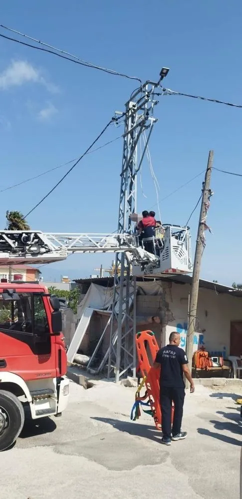 1787600044178.jpg Hatay'da korkunç olay! Elektrik direğinde erkek cesedi bulundu: Soruşturma başlatıldı - 1