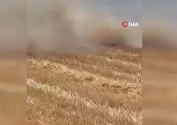 Alaca’da anız yangını