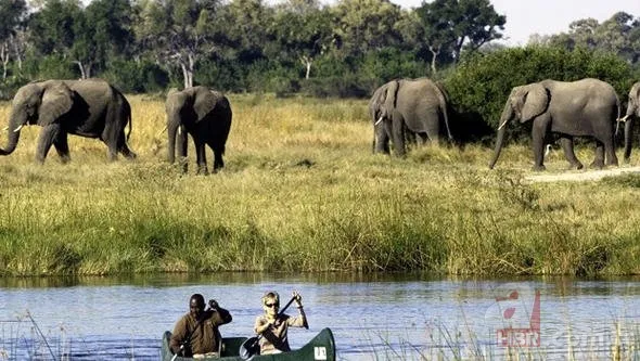 Sınırları küçük, teknolojide dünyaya kafa tutuyor! 24
