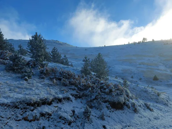3 ile kar yağacak! Meteoroloji "hangi illere kar yağacak?" sorusuna cevap verdi! İşte kar yağacak iller - 1