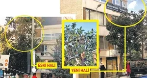 CHP’li belediyeden asırlık ağaca tabela operasyonu