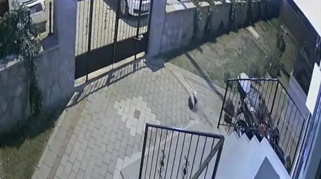 Tuğba Yavaş'ı profesör eşi mi itti?