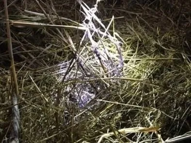 Genç kadın yarı çıplak ve paramparça halde bulunmuştu! Turizm cennetinde vahşette yeni detaylar: Ölüm evi görüntülendi