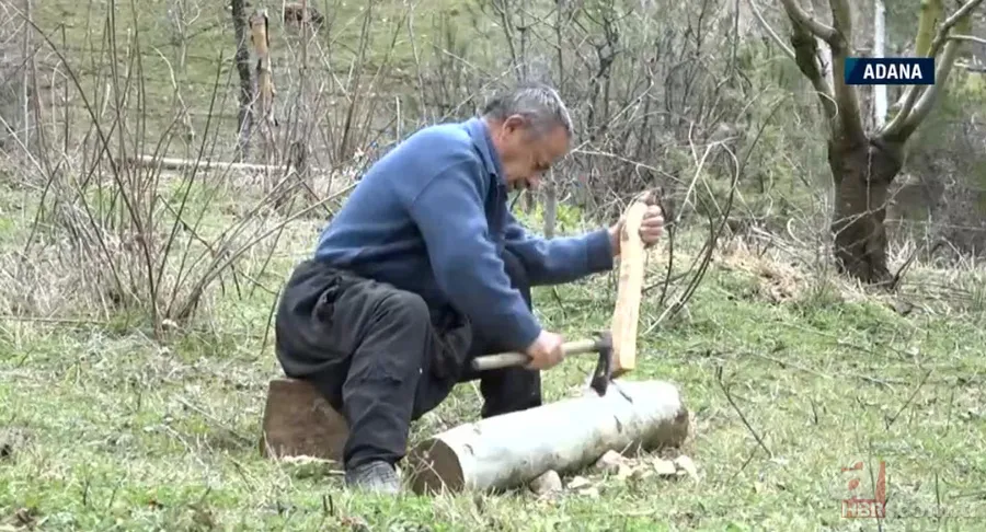 Ağaçlar onun elinde şekilleniyor! Şimşir ağaçlarından... 2