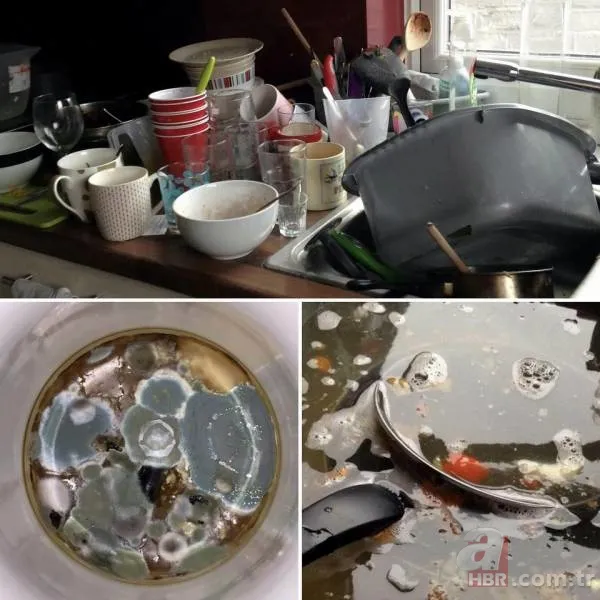 Brittani Cooper İngiltere’nin en pis öğrencisi seçildi 8