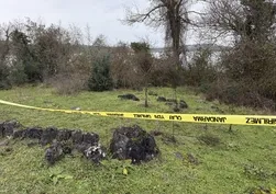 Sakarya'da haber alınamayan adam ölü bulundu!