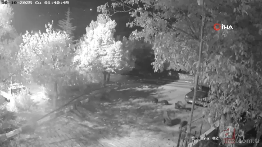 Tatil cennetinde şoke eden manzara! Mahalle muhtarı: Gözlerime inanamadım 6