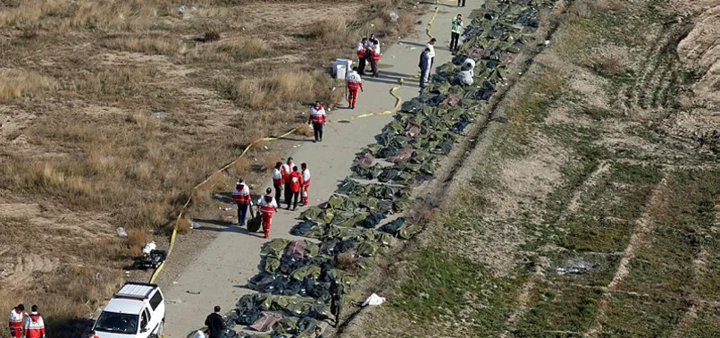 AB düşen Ukrayna uçağı için detaylı soruşturma istedi