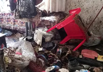 Adana'da çöp evde yaşayan kadın hastaneye kaldırıldı