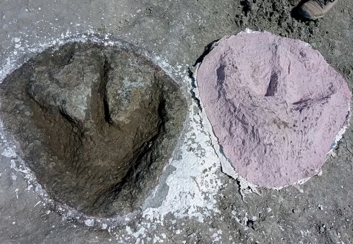 kazi-yapan-maden-iscisi-bilim-insanlarini-soke-etti-neredeyse-bir-zaman-makinesi-kesfi-1736421697838.jpg Foto: EPA