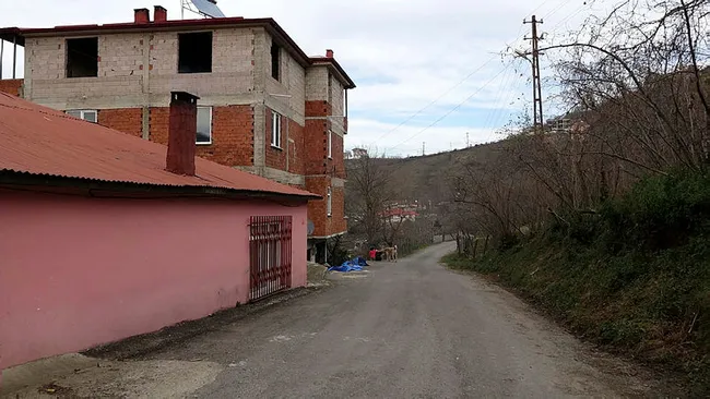 Giresun’da mahalleye inen kurtlar için vatandaş sopalı ve baltalı nöbet tutuyor - 2