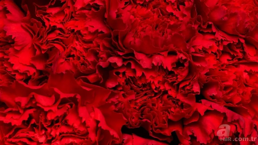 Hangi renk hangi duyguyu tetikliyor? Renkler ruh halinizi etkiliyor! 7