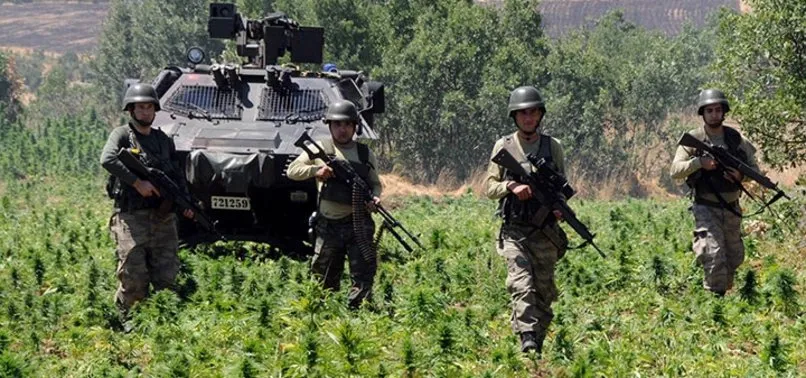 Diyarbakır'da PKK operasyonu