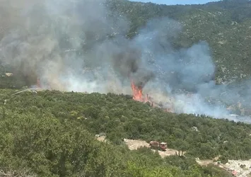 Antalya Kaş'taki orman yangını söndürüldü
