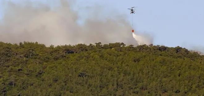 İzmir Foça’daki orman yangını kontrol altına alındı