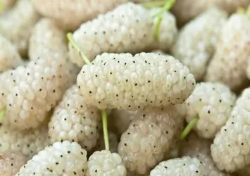 Sadece 1 tane tüketmek yeterli! Vücudu iltihaplardan arındıran besin...
