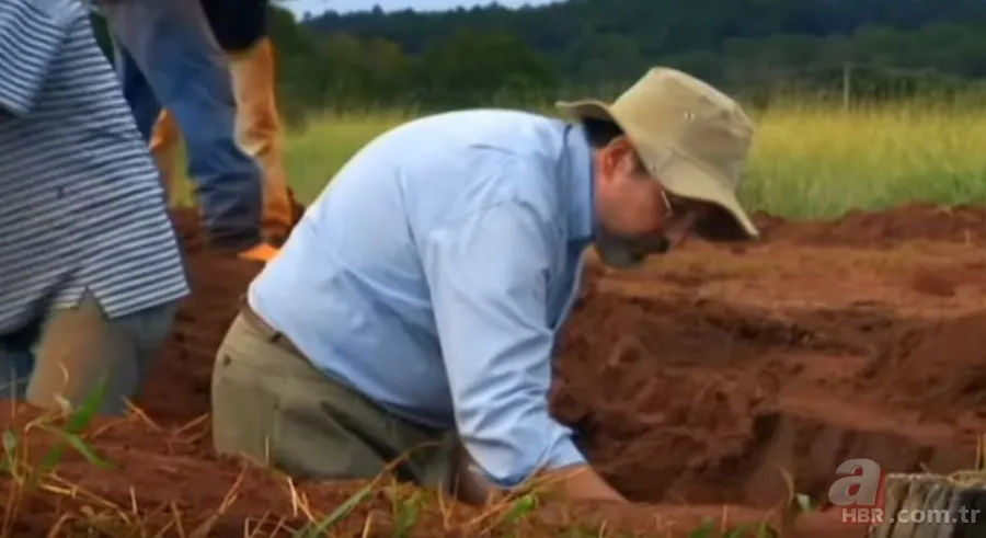 Karınca yuvasından sanat eseri çıktı 🐜 Vahşi doğanın usta mimarları! Otoban, yan yol ve patika bile yapmışlar 11
