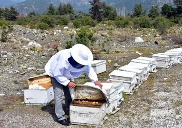 Coronavirüs sonrası yok satıyor! Kilosu 2 bin liradan alıcı buluyor